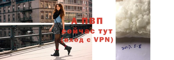 ALPHA PVP Беломорск