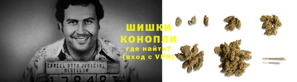 ALPHA PVP Беломорск